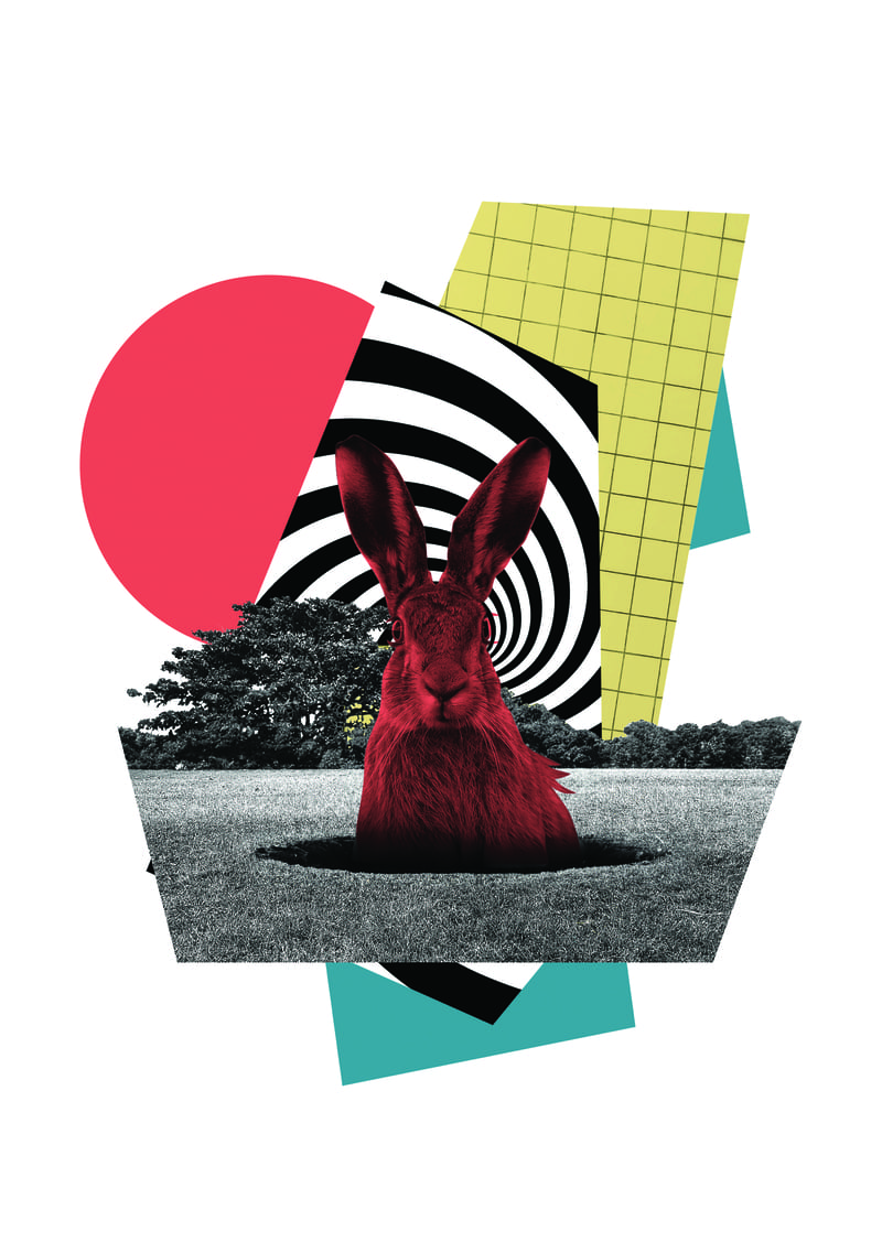 Slovník pojmů - Rabbit hole neboli Králičí nora